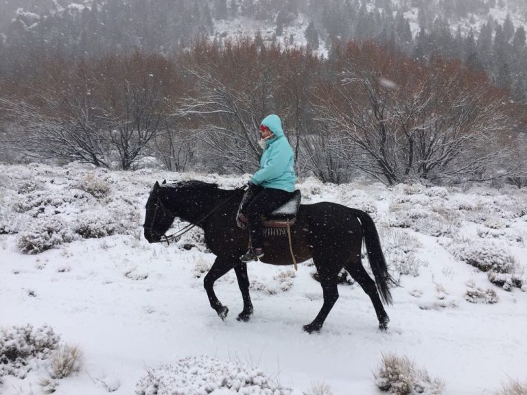 Fixer Argentina_Nordik_TV5