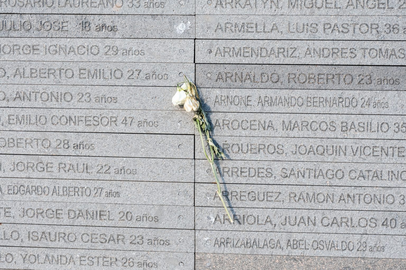 Arentina Fixer_ICU_Maxima Z_09