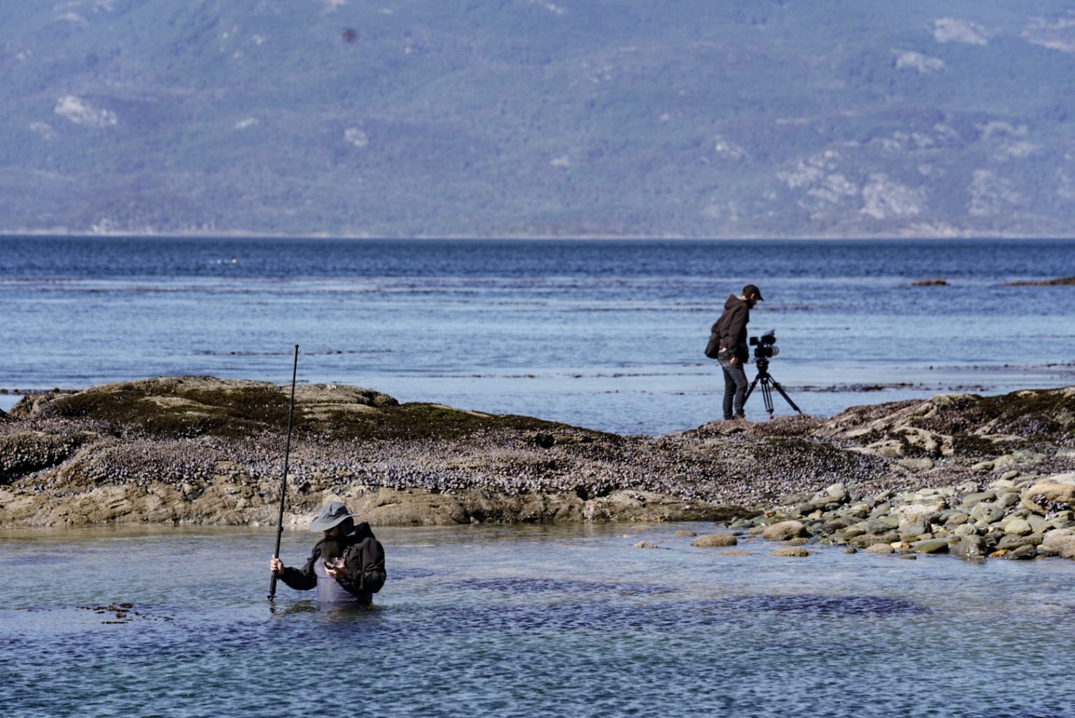 Argentina Fixer_86_Only One_Marine Rewilder_047