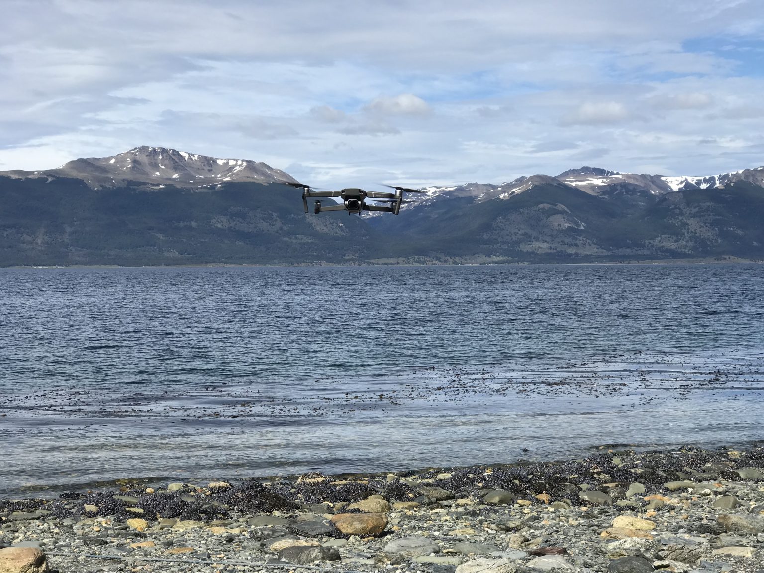 Argentina Fixer_86_Only One_Marine Rewilder_075