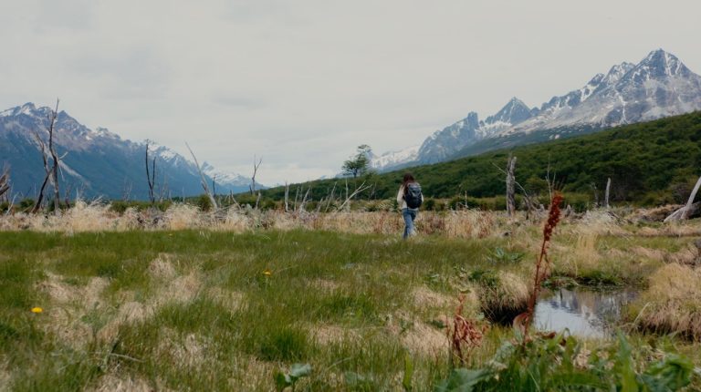 Marine Rewilder Martina Sasso: landscape in Ushuaia