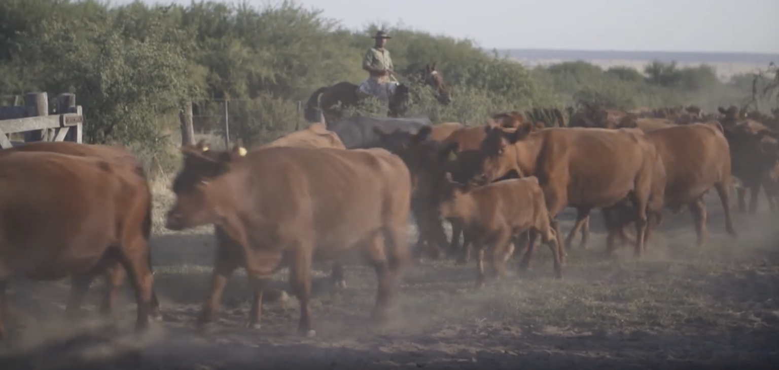 Fixer Argentina_Terra X - Adventure Patagonia _8