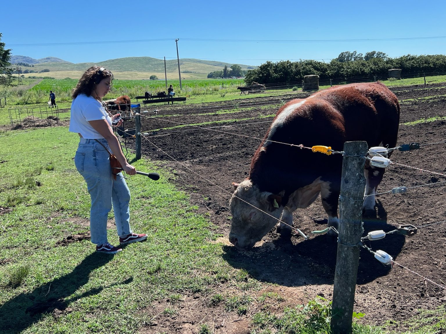Fixer Argentina_Newshour_BBC