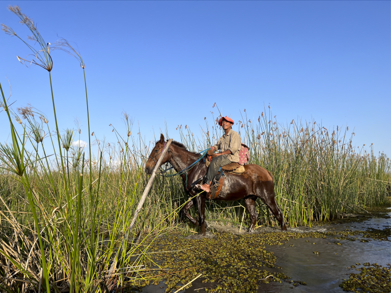 landscape and a gaucho