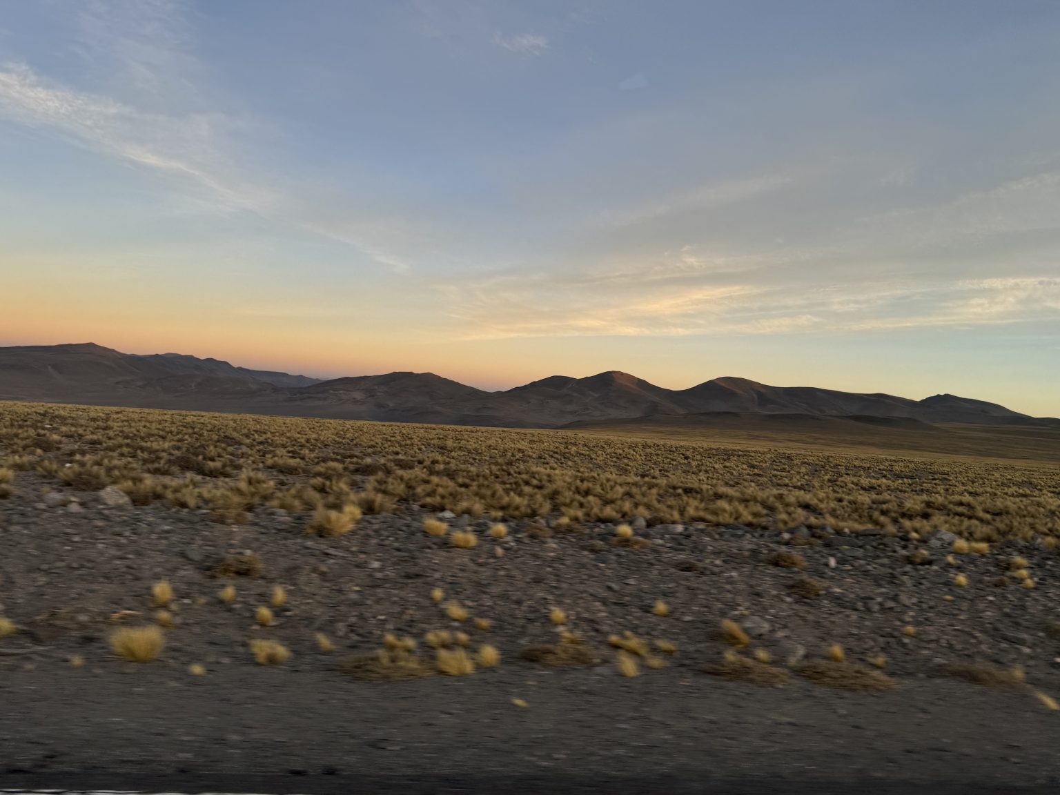 Fixer Argentina_Hide&Seek_20