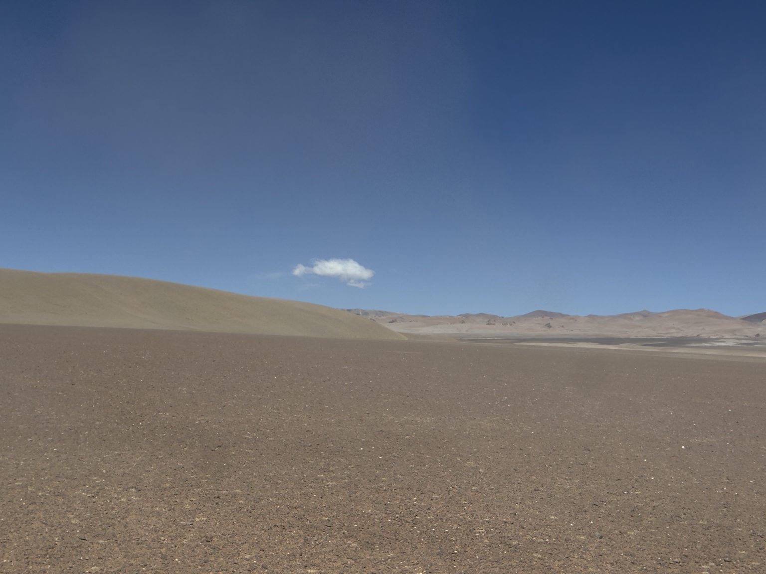 Fixer Argentina_Hide&Seek_74